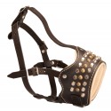 German Shepherd Muzzle of Luxury Decorated Leather