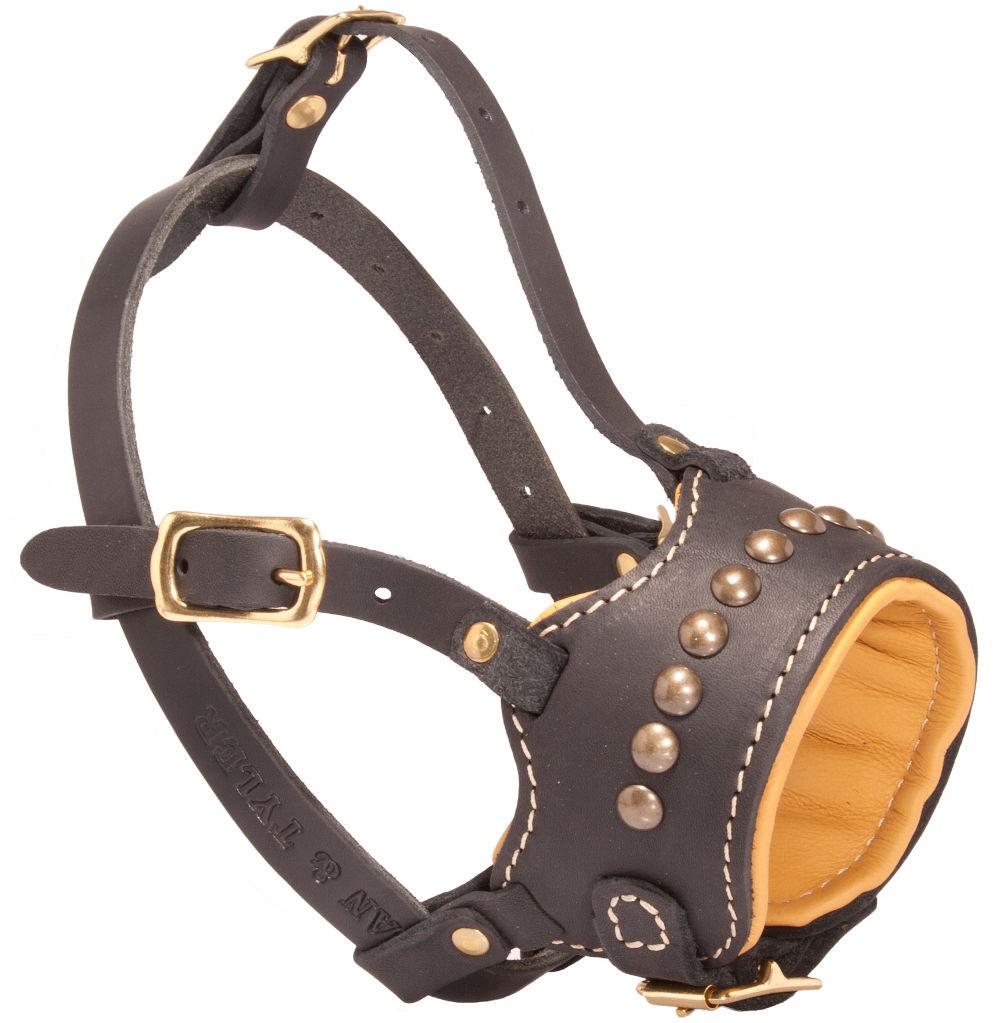padded muzzle