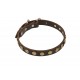 German Shepherd Collar, Narrow Leather, Brass Stars