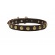 German Shepherd Collar, Narrow Leather, Brass Stars