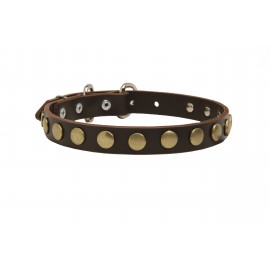 German Shepherd Collar, Narrow Leather, Brass Stars