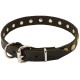 German Shepherd Collar, Narrow Leather, Brass Stars