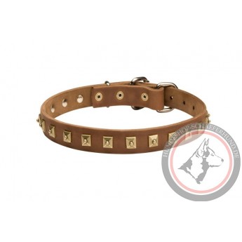 Fine Dog Collar for Shepherd