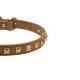 Fine Dog Collar for Shepherd