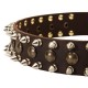 German Shepherd Collar, Brass Plates on Leather