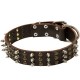 German Shepherd Collar, Brass Plates on Leather