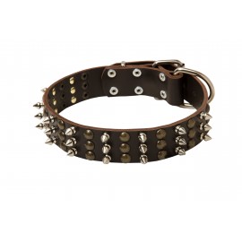 Exklusives Lederhalsband für Schäferhunde mit schönen Spikes