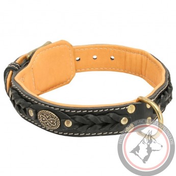 Luxus Dog Collar with Padding for German Shepherd