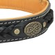 Luxus Dog Collar with Padding for German Shepherd