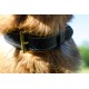 Luxus Halsband mit Polsterung für Deutschen Schäferhund