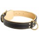 Luxus Dog Collar with Padding for German Shepherd