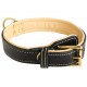 Luxus Dog Collar with Padding for German Shepherd