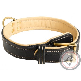 Luxus Halsband mit Polsterung für Deutschen Schäferhund