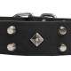 GSD Collar of Leather with Space-Like Brass Deco