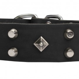 GSD Collar of Leather with Space-Like Brass Deco