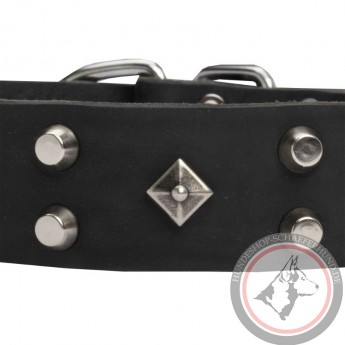 GSD Collar of Leather with Space-Like Brass Deco
