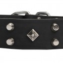 Elegant Leather Dog Collar with Studs for Shepherd 