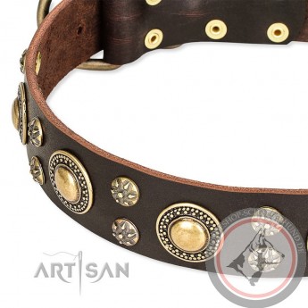 GSD Collar of Leather with Space-Like Brass Deco