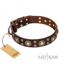 GSD Collar of Leather with Space-Like Brass Deco