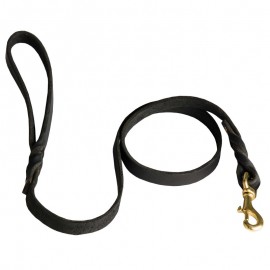 Braided Leather Dog Leash for Shepherd Walks and Training