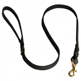 Braided Leather Dog Leash for Shepherd Walks and Training