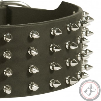 Exklusives Lederhalsband für Schäferhunde mit schönen Spikes