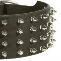 Wide Leather Dog Collar with Spikes for German Shepherd Collar