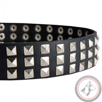 Exklusives Lederhalsband für Schäferhunde mit schönen Spikes