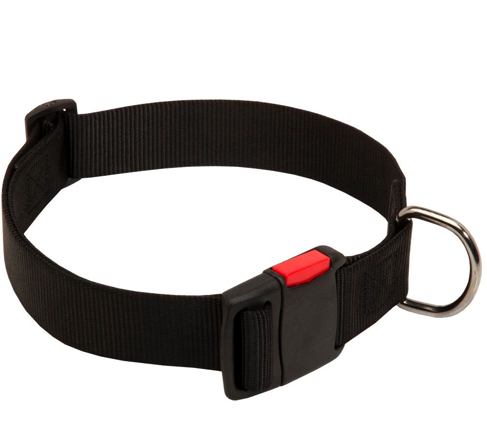MICHUR Carola Vintage Halsband Für Hunde - Nylon, Weich, Halsumfang 25-35 Cm, In Blau