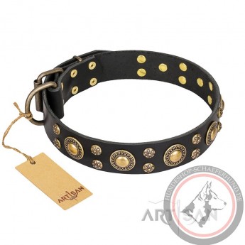 Schwarzes Lederhalsband für Schäferhund "Baroque Chic" FDT Artisan