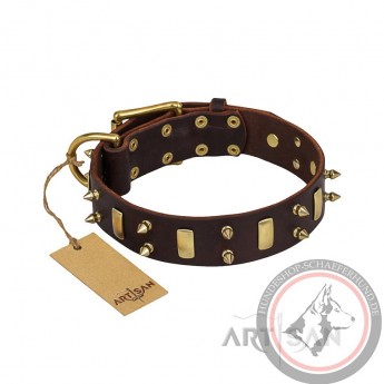 Schäferhund Hundehalsband aus Leder mit Messing-Spikes und Platten