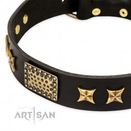 Schwarzes Lederhalsband für Schäferhunde "Passion for Style and Beauty" FDT Artisan