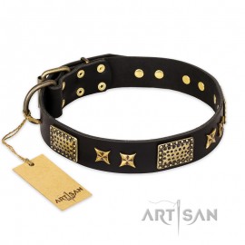 Schwarzes Lederhalsband für Schäferhunde "Passion for Style and Beauty" FDT Artisan