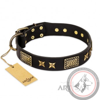 Schwarzes Lederhalsband für Schäferhunde "Passion for Style and Beauty" FDT Artisan