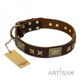 German Shepherd Collar "Sparkling Bronze" FDT Artisan Tan Leather