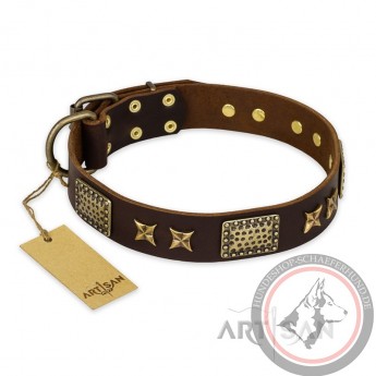 Braunes Lederhalsband für Schäferhunde "Sparkling Bronze" FDT Artisan 