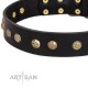 German Shepherd Collar "Black Elegance" FDT Artisan Tan Leather