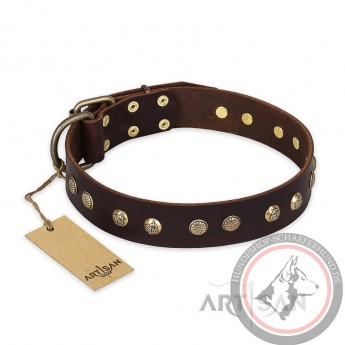 German Shepherd Collar "Bronze Sheen" FDT Artisan Tan Leather