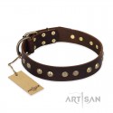 German Shepherd Collar "Bronze Sheen" FDT Artisan Brown Leather