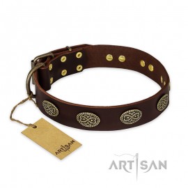 German Shepherd Collar "Chocolate kiss" FDT Artisan Tan Leather