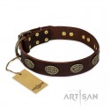 German Shepherd Collar "Chocolate kiss" FDT Artisan Brown Leather