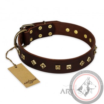 German Shepherd Collar "Fashion Studs" FDT Artisan Tan Leather