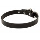 1 Inch Wide Leather Dog Collar