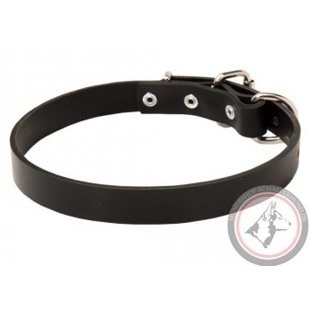 1 Inch Wide Leather Dog Collar