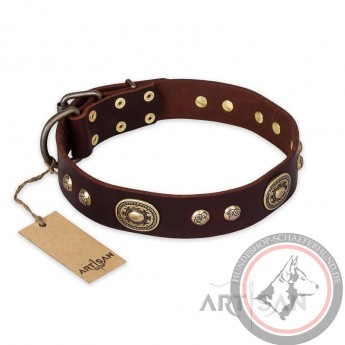 German Shepherd Collar "Breath of Elegance" FDT Artisan Tan Leather