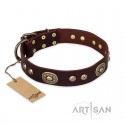 German Shepherd Collar "Breath of Elegance" FDT Artisan Brown Leather