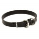 1 Inch Wide Leather Dog Collar