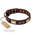 German Shepherd Collar "Golden Stones" FDT Artisan Brown Leather