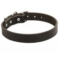 German Shepherd Collar of Classic Style, Real Leather