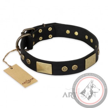 Schwarzes Nieten Lederhalsband für Schäferhunde "Spanish night" FDT Artisan 